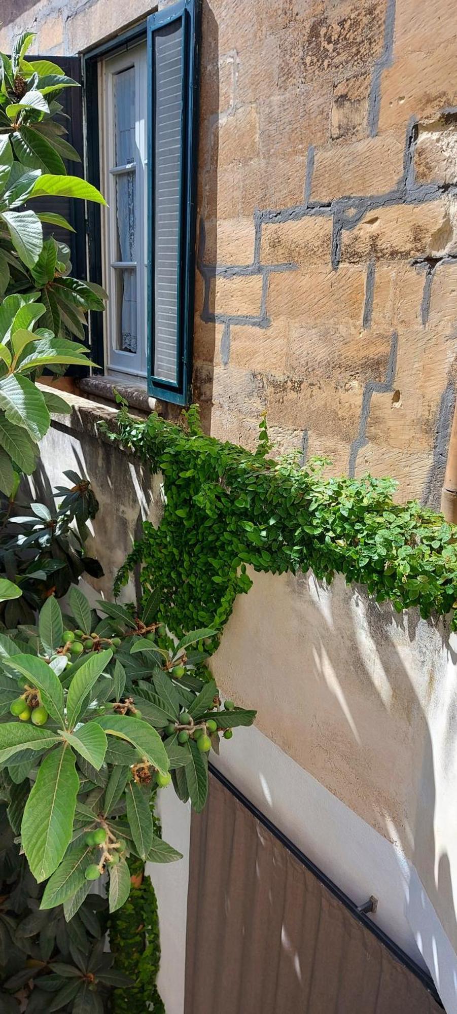 Massa House Bed & Breakfast Lecce Phòng bức ảnh